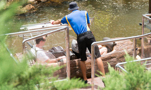 Quirks, concerns and flaws with Dreamworld's new Log Ride canopies