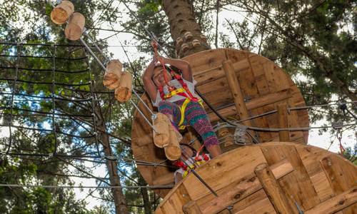 Thrilling new adventure park open in rare Sydney forest