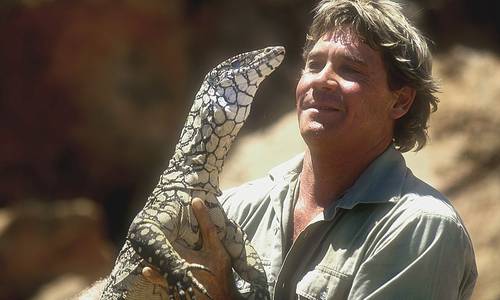 Steve Irwin killed while filming