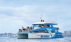 Sea World Cruises debuts the Gold Coast’s newest Whale Watching vessel for the 2019 Season