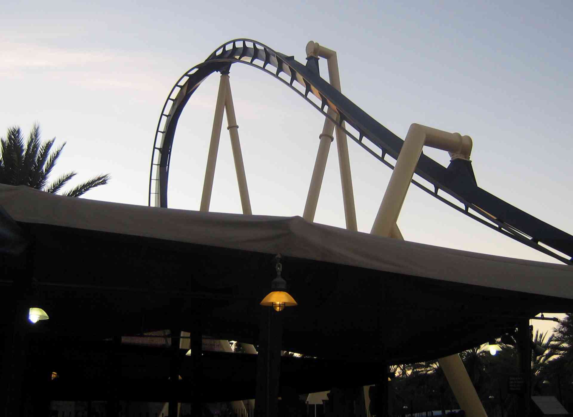 Montu - Busch Gardens Tampa (Tampa, Florida, United States)