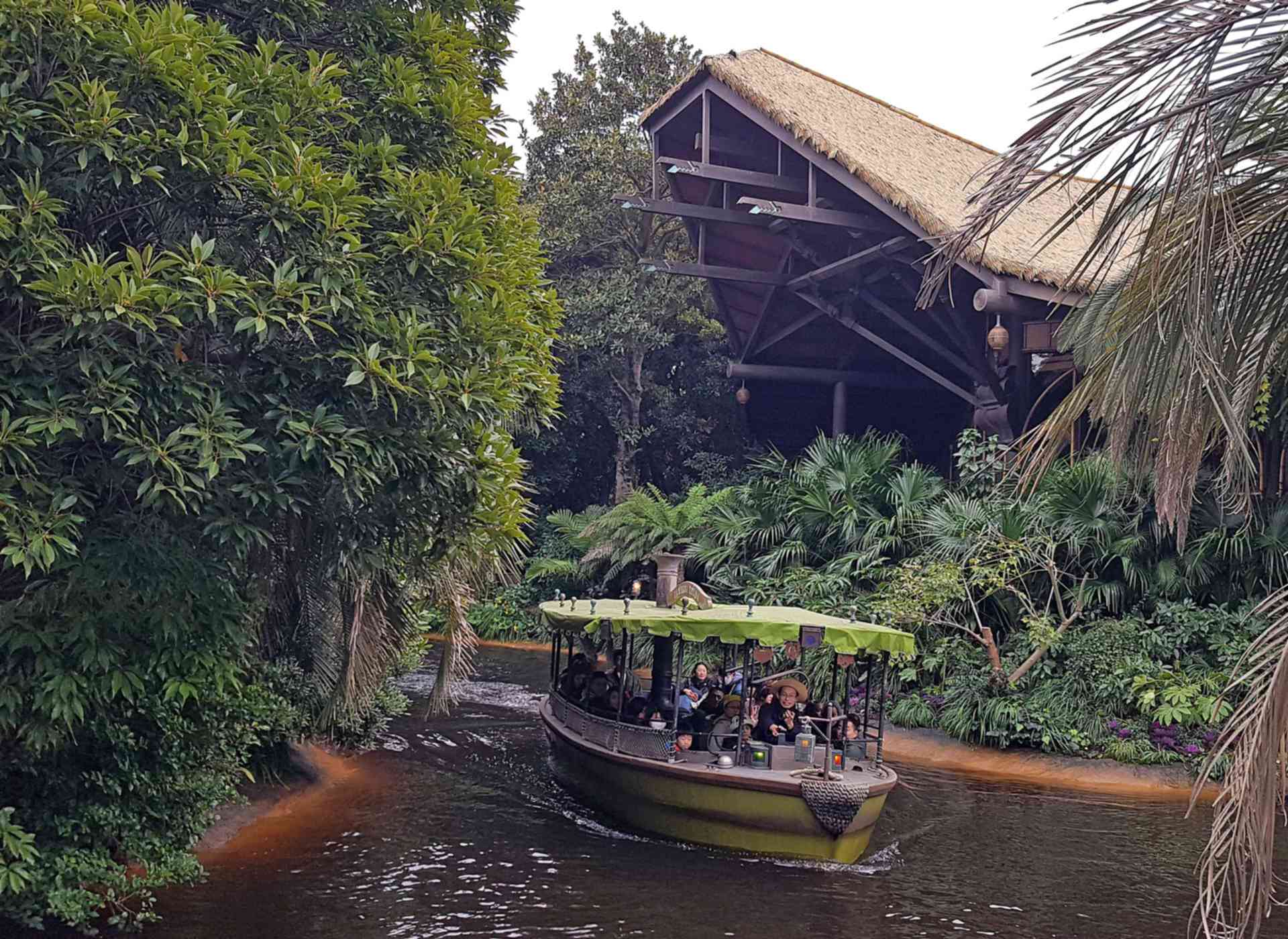 jungle cruise wildlife expeditions
