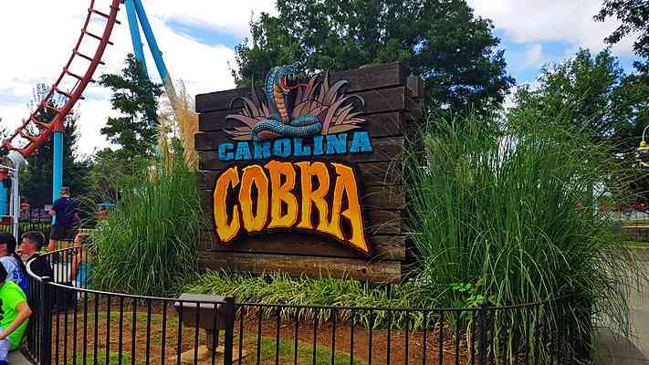 carolina cobra roller coaster