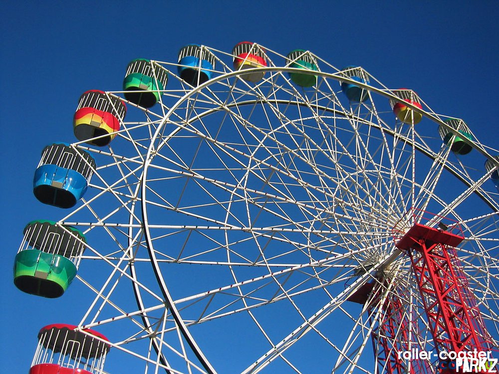 Time's a Flat Ferris Wheel: Enduring Legacy of 'RollerCoaster