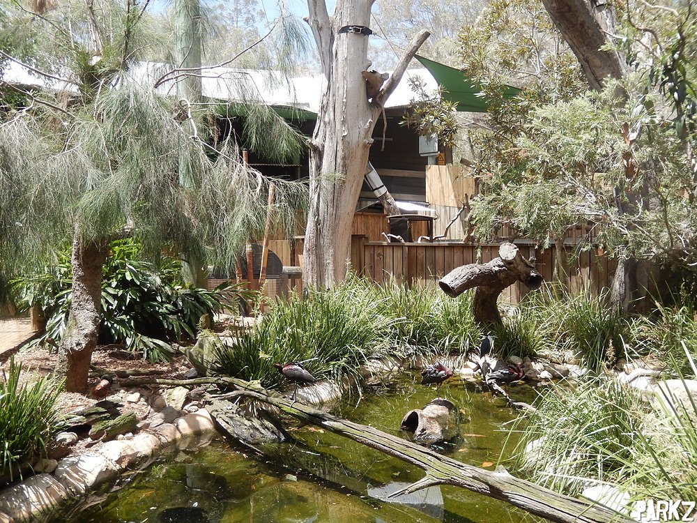 Aviary Parkz Theme Parks